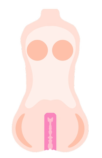 sextoy fessier - Structures squelettiques internes onaholes